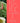 Floral Contemporary : The Renaissance of Flower Design