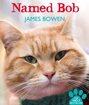 A Street Cat Named Bob : How one man and his cat found hope on the streets